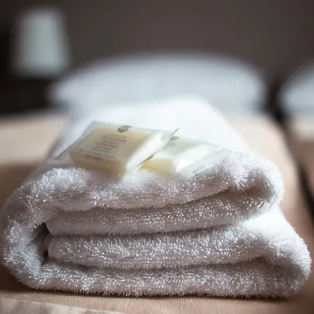 Magnolia-airport Modlin