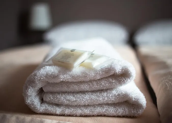 Magnolia-airport Modlin