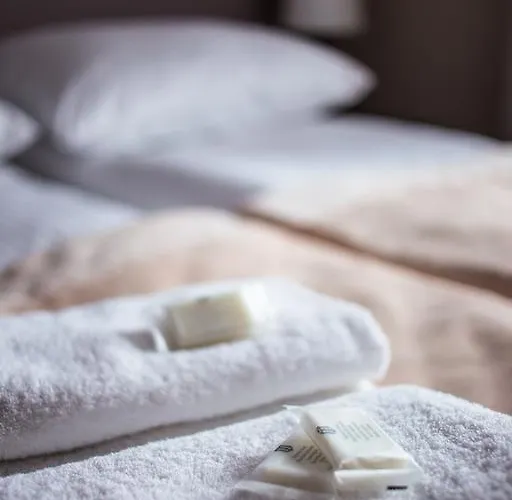 Inn Magnolia-airport Modlin Pomiechowek